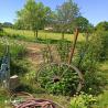 images/garten/garten_12.jpg