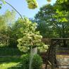 images/garten/garten_7.jpg