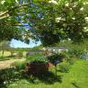 images/garten/garten_8.jpg