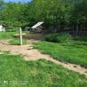 images/garten/garten_9.jpg