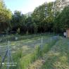 images/tinyhouse-wiese/tinyhouse-wiese_2.jpg